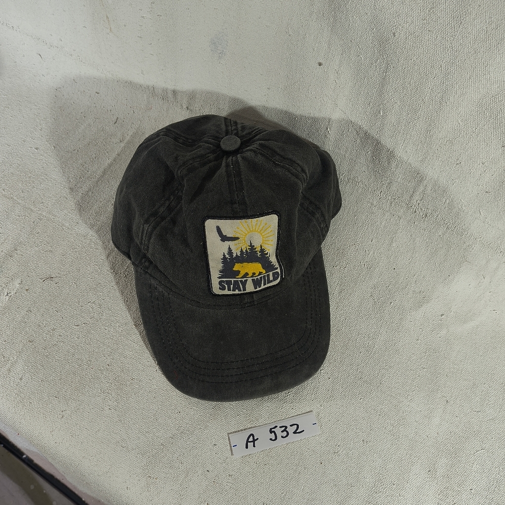 Stay Wild Men's Adjustable Black Cap by David and Young
